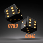 Q789 Game