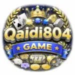 Qaidi804 Game Logo